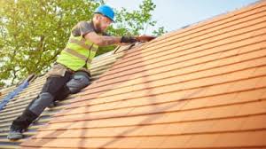 Best Roof Moss and Algae Removal  in University Of Pittsburgh Johnstown, PA